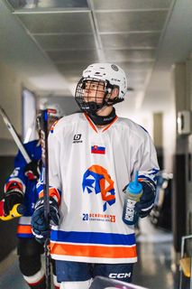 Словакия в Минске 2026