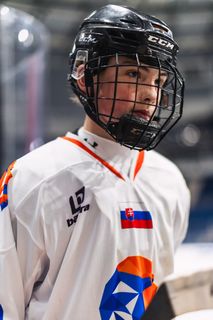Словакия в Минске 2026