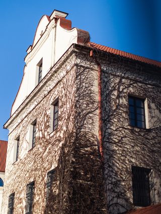Культурная программа, Пинск